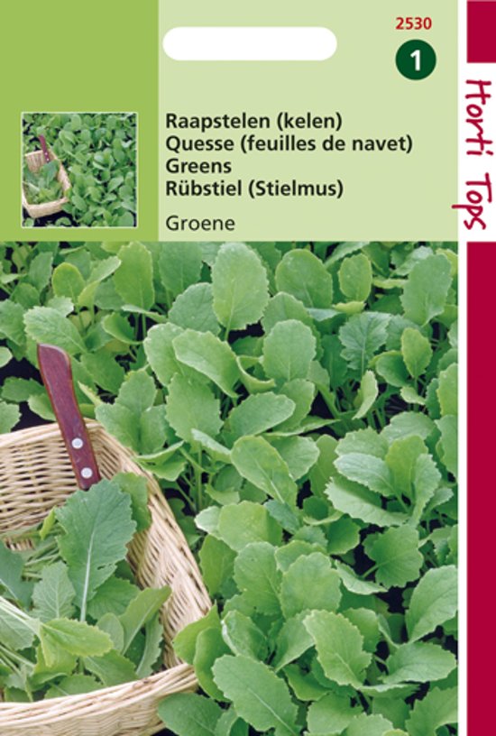 Rbstiel green (Brassica) 4500 Samen